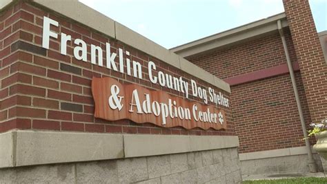 Franklin County Dog Shelter to host free dog vaccine clinic