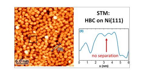 Planar BN-Doped Nanographenes on Reactive Metal Surfaces: A Promising Pathway for the ...