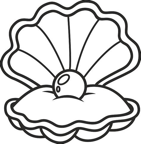 Open Clam Shell Clip Art, Vector Images & Illustrations - iStock