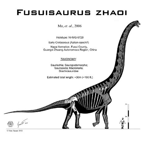 Fusuisaurus Pictures & Facts - The Dinosaur Database