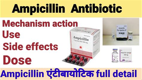 Ampicillin Antibiotic | Mechanism action,Use,Side Effects,Brand Name|एंपीसिलिन full detail - YouTube