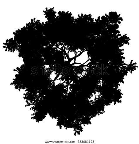 Tree Top View Silhouette Isolated Black Stock Vector (Royalty Free) 733681198