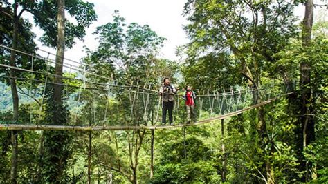 Forest Research Institute Malaysia (FRIM Kepong) – Visit Selangor