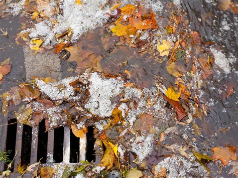 Make Sure Exterior Drains Are Not Clogged | HomeZada