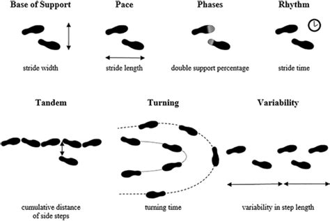 Tandem Gait Test