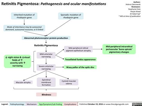 Retinitis Pigmentosa: Pathogenesis and Ocular Manifestations | Calgary Guide