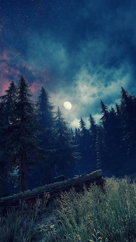 Moonlight Forest Wallpapers - Top Free Moonlight Forest Backgrounds ...