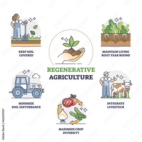 Regenerative agriculture method for soil health and vitality outline ...