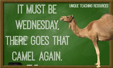 Hump Day Funny Work Quotes - Funny Memes