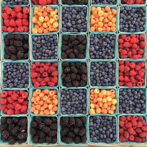 Gambar : menanam, buah, Berry, bunga, pola, makanan, menghasilkan ...