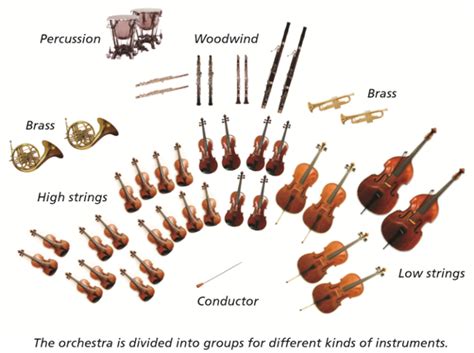 Gallery For > String Instruments Orchestra