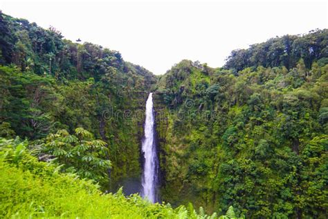 Akaka Falls in Akaka Falls State Park, Big Island, Hawaii, USA Stock Photo - Image of force ...