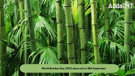 World Bamboo Day 2023 observed on 18th September