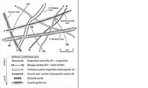 Vein types observed in porphyry gold deposits from Sillitoe (2000). | Download Scientific Diagram