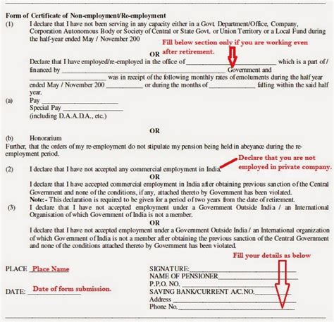 How To Fill Pensioners Life Certificate Form For Retired Senior ...