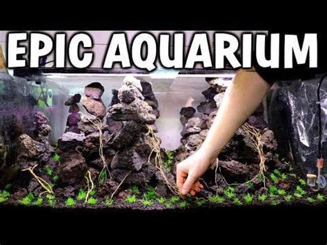 Planted Aquarium Set-up / Tutorial! : r/HomeAquatic