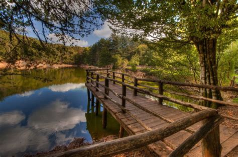 Pier over a small lake in Umbra Forest (Foresta Umbra) in the Gargano National Park in Puglia ...