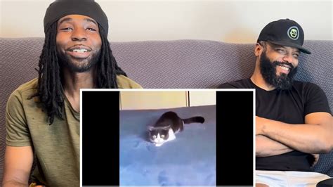 Tony Baker Animal Voiceovers (Part 2) Reaction - YouTube