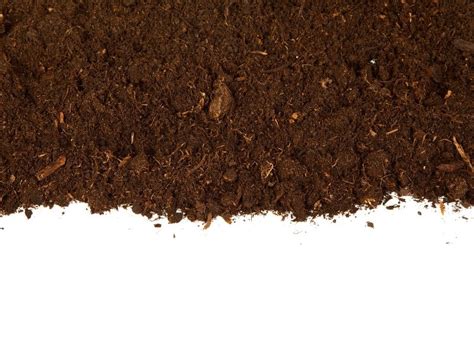 How to Make a Coco Coir Soil Mix and Benefits