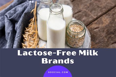 10 Lactose-Free Milk Brands That Taste Delicious - Soocial