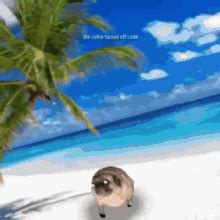 Pug Dancing Vibing Pug GIF - Pug Dancing Vibing Pug Memes - Discover & Share GIFs