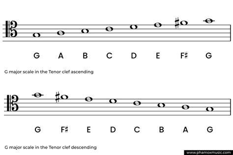 G Major Scale: Complete Guide - Phamox Music