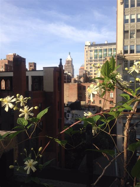 Gramercy Park Rooftop: New York, NY — Lindsey Taylor Design