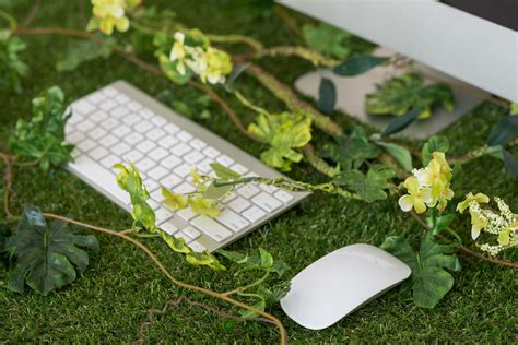 How to bring nature into the office - Duraflor