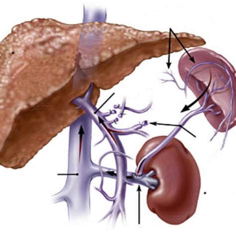 Oesophagogastroduodenoscopy | Download Scientific Diagram