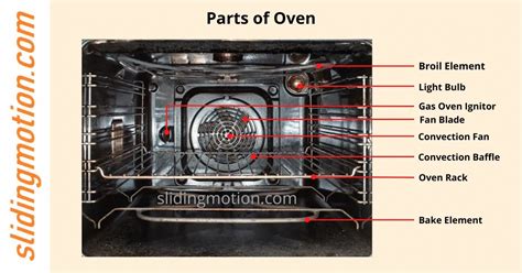 5 Important Parts of Thermometer with their Names, Functions, & Diagram