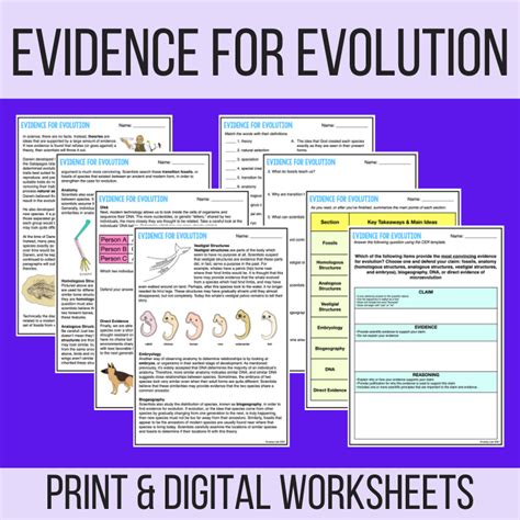 Evidence for Evolution - Reading & Worksheets - PDF & Digital Versions