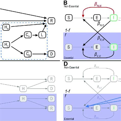 Diagram of the SEIR model with extensions. A) An illustration of the ...