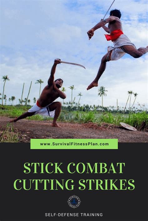 Basic Stick Fighting Techniques for Self Defense | Fight training, Martial arts training ...