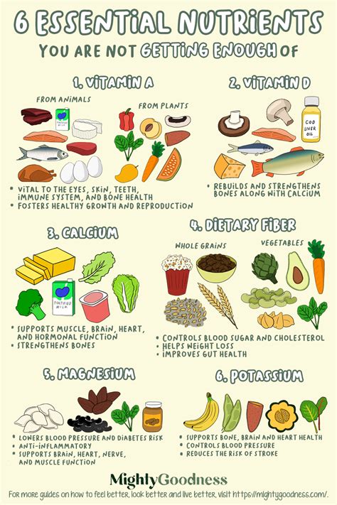 6 Essential Nutrients List