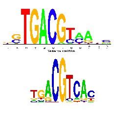 Comparison of two motif sequence logos. The top logo is the annotated ...