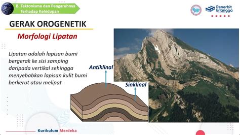 Tektonisme dan Pengaruhnya bagi Kehidupan - YouTube