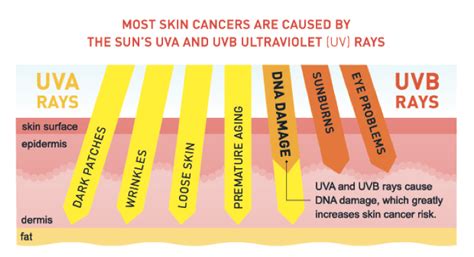 UV rays explained and how they affect your skin – Solbari UK