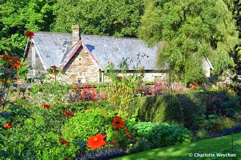 The Galloping Gardener: The Garden House - a remarkable plantsman's garden in Devon