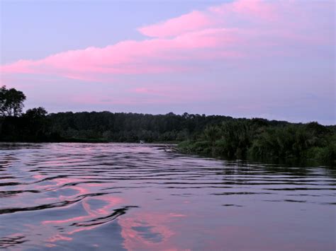 Pink clouds reflected in the Tarcoles River | victoriaporter * | Flickr