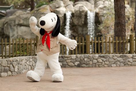 Camp Snoopy comes to North Carolina - InterPark