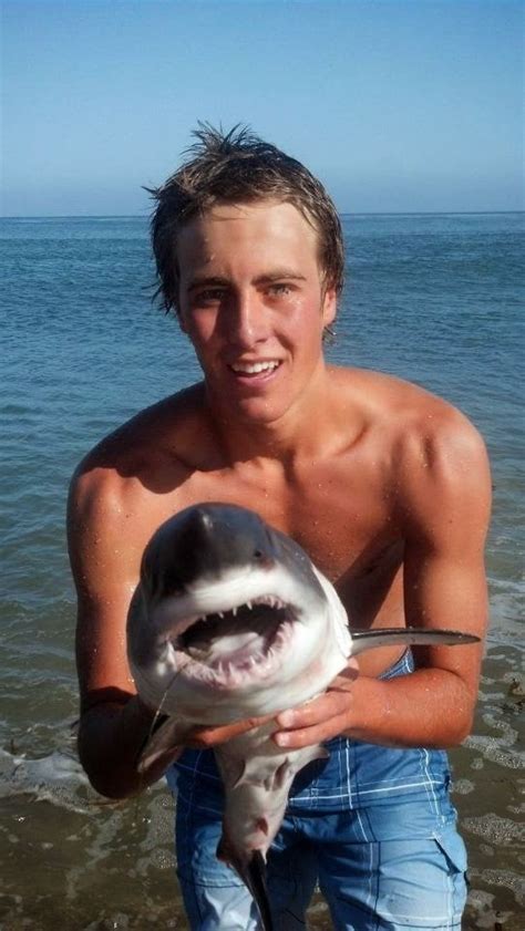 Baby great white shark. Look at those little teeth! : aww