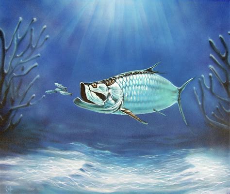 Tarpon by Larry Cole