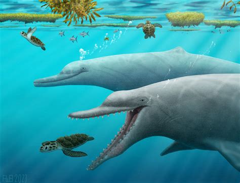 Species New to Science: [PaleoMammalogy • 2023] New Skeletons of the Ancient Dolphin Xenorophus ...