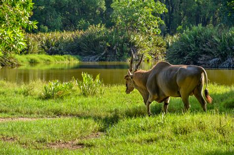 Kenya's Hidden Gem: 10 Best Things To Do In Mombasa