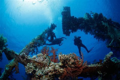 7 reasons to go diving in the Red Sea