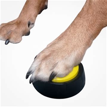 Dog Training Buttons | Find Me A Gift