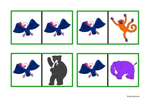 The Animal Boogie story resource pack- Jungle animals | Teaching Resources