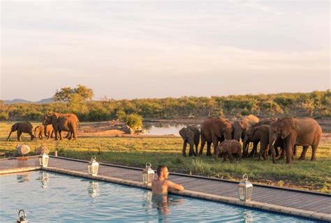 Jamala Madikwe Royal Safari Lodge, Madikwe Game Reserve | 2021 Updated ...