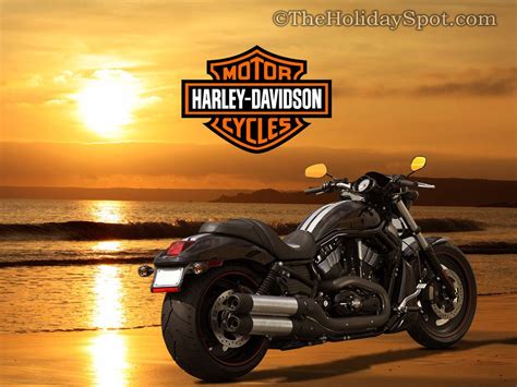 Harley Davidson Bikes Wallpapers Hd | Harley davidson wallpaper, Harley davidson, Harley ...