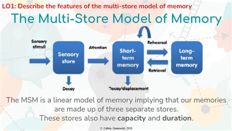 4. The multi-store model of memory (Memory) | Teaching Resources